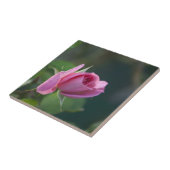 Roze Roos Tegeltje (Zijkant)
