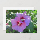 Roze Roos van Sharon Bloem Foto Denken aan U Briefkaart (Voorkant / Achterkant)