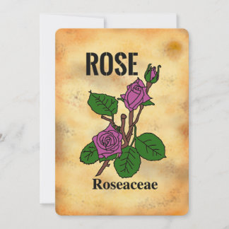 Roze roos verouderde papierstijl lijnkunst Plat ka