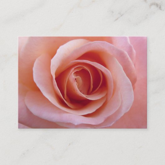 Roze Roos Visitekaartje (Voorkant)