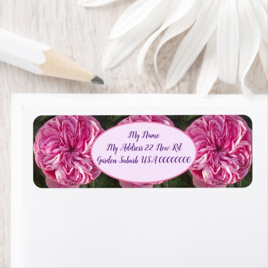 Roze  Roos Vloerbloem Etiket (Insitu)