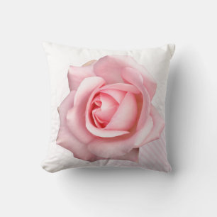 Roze roos voor jou kussen