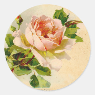 Roze  Roos Waterverf schilderen Ronde Sticker