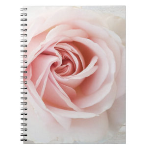 Roze Roos & Witte Hout Shabby Chic Boerderij Glam Notitieboek