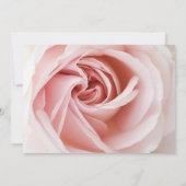 Roze Roos & Witte Hout Shabby Chic Bruiloftsshower Kaart (Achterkant)
