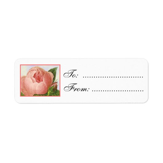 Roze Roosknop Aangepaste Gift Tag Labels (Voorkant)