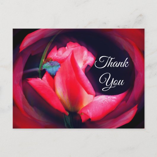 Roze Roosknop Abstracte Bloemen Bedankkaart Briefkaart (Voorkant)