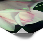 Roze Roosknop Bloem Frame Maak Je Eigen Foto Poster (Hoek)