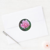 Roze Roosknop Ronde Sticker (Envelop)