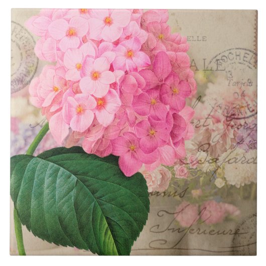  Roze Rooster Hydrangea Keramisch Tile Tegeltje (Voorkant)
