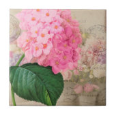  Roze Rooster Hydrangea Keramisch Tile Tegeltje (Voorkant)