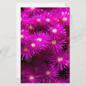 Roze roosterbloemen plakboekpapier briefpapier (Voorkant / Achterkant)