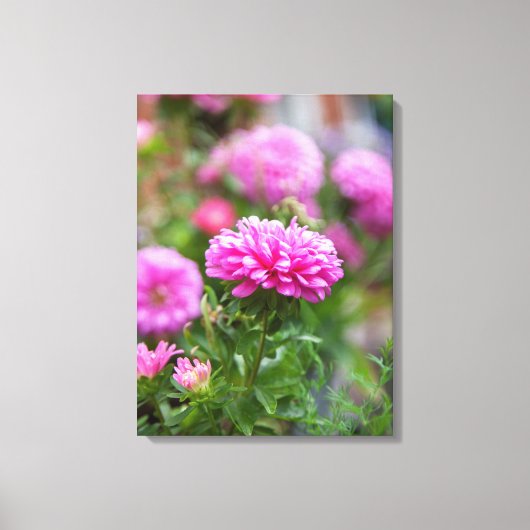 Roze roosters bloemen canvas afdruk (Voorkant)