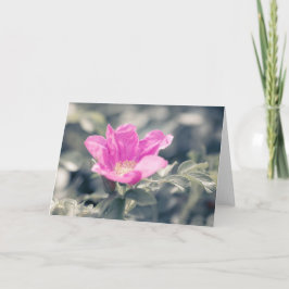 Roze Rosa Bloembiljet Kaart