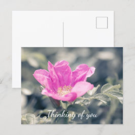 Roze Rosa Rugosa denkt aan jou Briefkaart