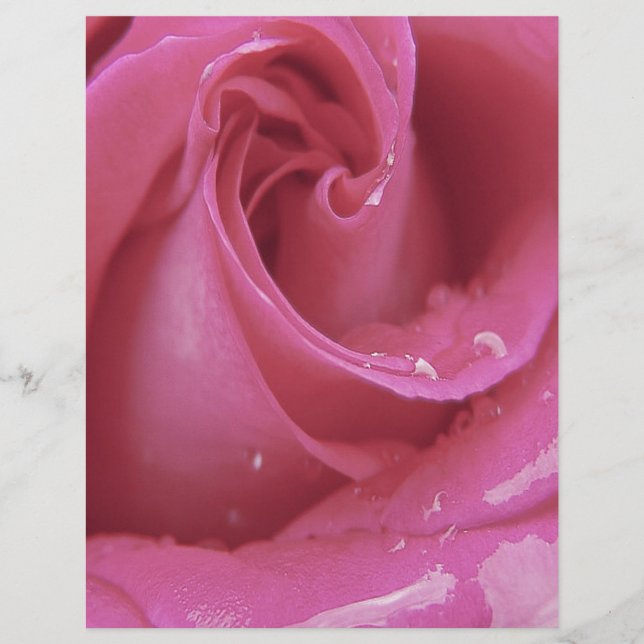 Roze Rose (Voorkant)