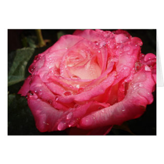 Roze Rose