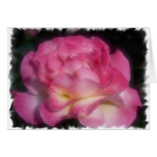 Roze Rose