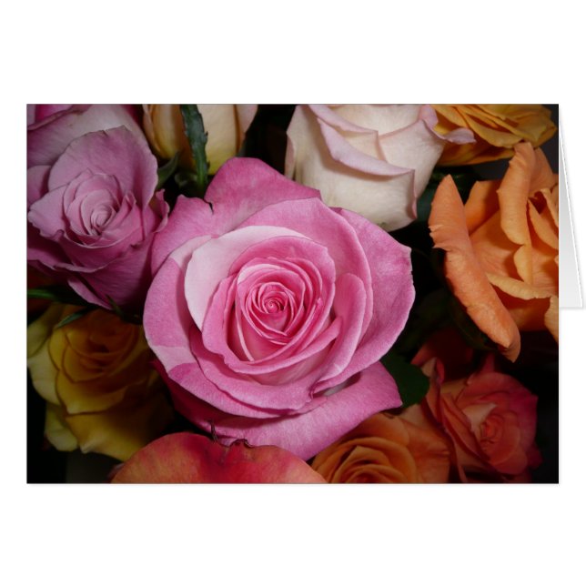 Roze Rose (Voorkant Horizontaal)