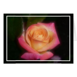 Roze Rose