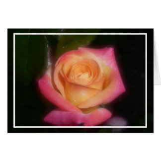 Roze Rose