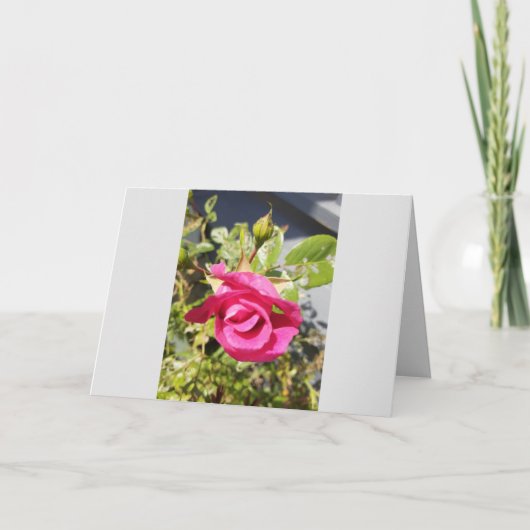 Roze Rose #2 Gevouwen Hartelijk dank Bedankkaart (Voorkant)