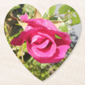 Roze Rose #2 Kartonnen Onderzetters (Voorkant)