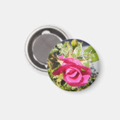Roze Rose#2 Magnet (Voorkant / Achterkant)