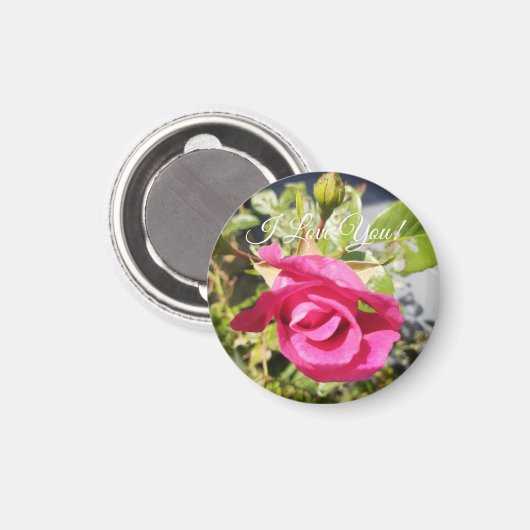 Roze Rose#2 Magnet (Voorkant / Achterkant)