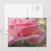 Roze Rose 3 Angelic Briefkaart (Voorkant / Achterkant)