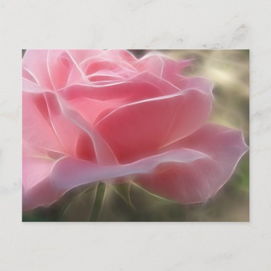 Roze Rose 3 Angelic Briefkaart (Voorkant)