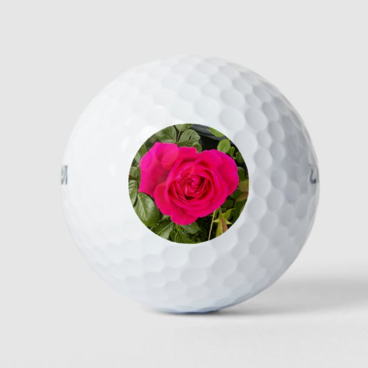 Roze Rose #4 Golfballen (Voorkant)