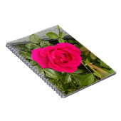 Roze Rose #4 Notitieboek (Rechterzijde)