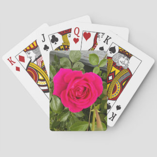 Roze Rose #4 Pokerkaarten