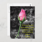 Roze Rose 4 psalm 19:14 Briefkaart (Voorkant / Achterkant)