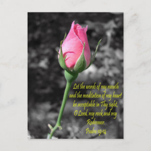 Roze Rose 4 psalm 19:14 Briefkaart