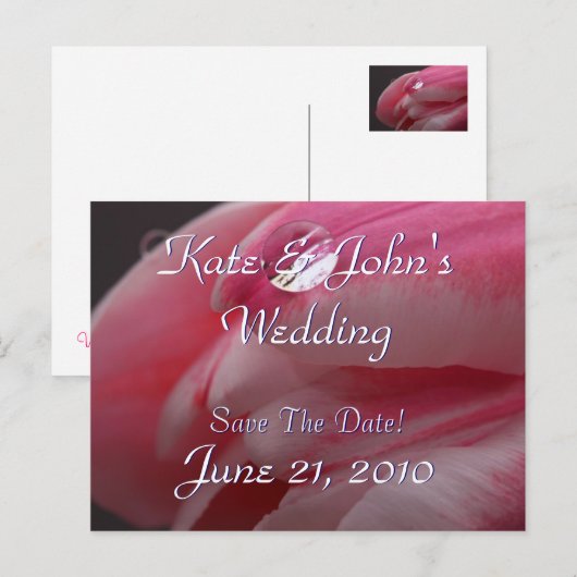 Roze Rose Aankondigingskaart (Voorkant / Achterkant)