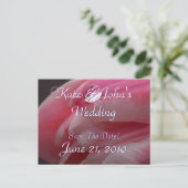 Roze Rose Aankondigingskaart (Staand voorkant)