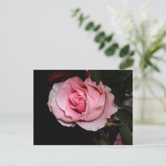 Roze Rose Aankondigingskaart (Staand voorkant)