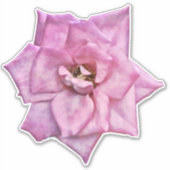 Roze Rose Art Sticker (Voorkant)