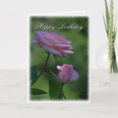 Roze Rose Birthday Greetings Kaart (Voorkant)