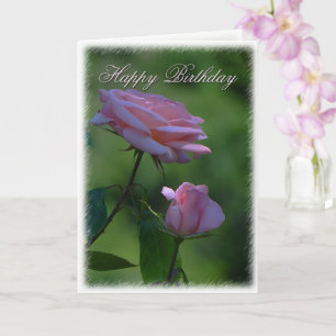 Roze Rose Birthday Greetings Kaart
