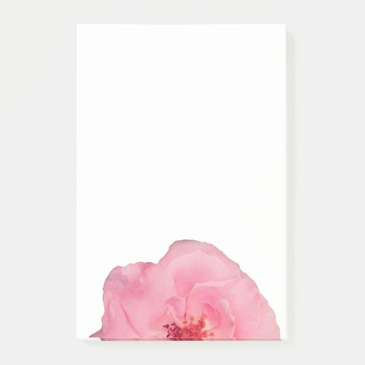 Roze Rose Bloem Fotonotities Post-it® Notes (Voorkant)
