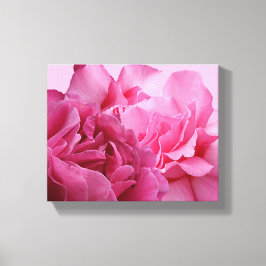  roze rose bloem modern mooi stijlvol canvas afdruk