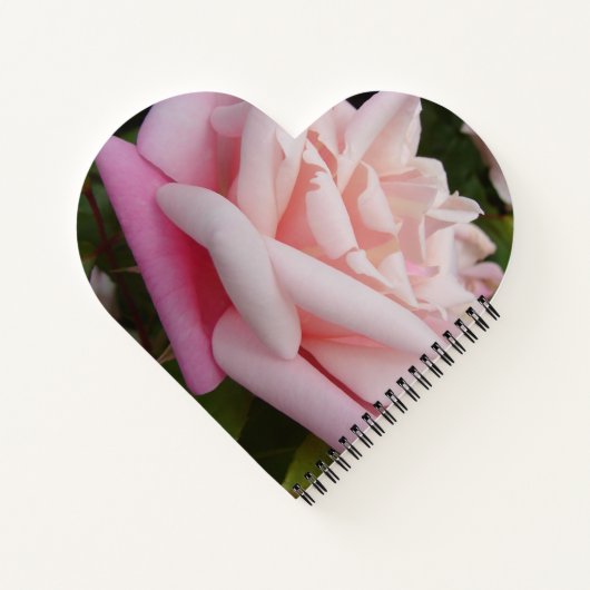 Roze Rose Bloem Mooie Tuin Bloemen Meisjes Naam Notitieboek (Achterkant)