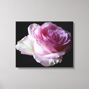  roze rose Bloemen Modern eenvoudige stijlvolle ch Canvas Afdruk