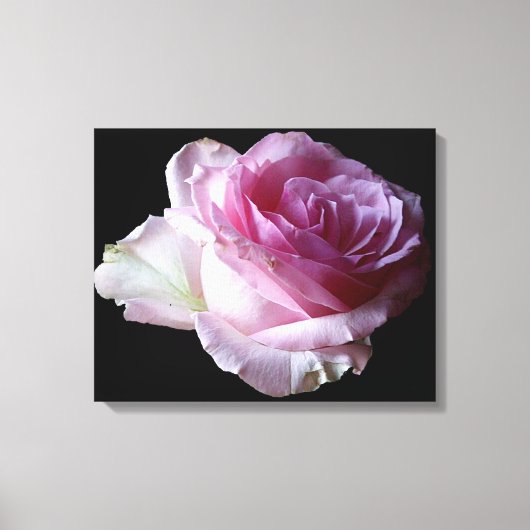 roze rose Bloemen Modern eenvoudige stijlvolle ch Canvas Afdruk (Voorkant)