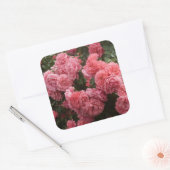 Roze Rose Bloemen Stickers (Envelop)
