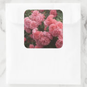Roze Rose Bloemen Stickers (Tas)