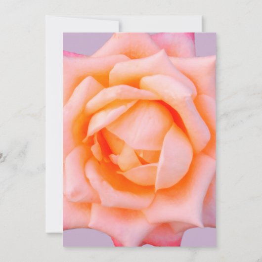 Roze Rose Bloesem Bruiloft Uitnodiging (Achterkant)